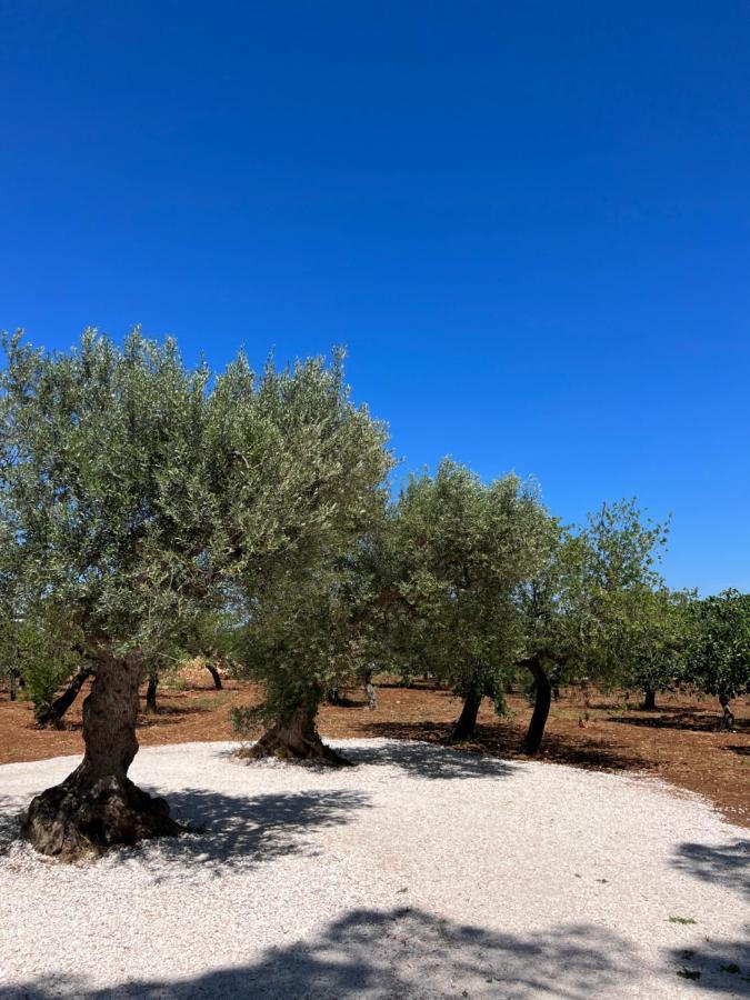 Апартаменти Masseria Concorrano Кастеллана-Гротте Екстер'єр фото
